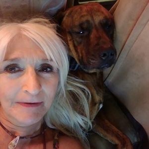 Meet your Posher, Patti lynn